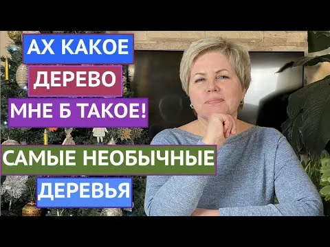 Нажми и смотри