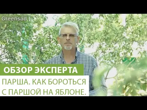 Нажми и смотри