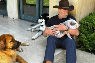 Не даёт стареть: Арнольд Шварценеггер показал милое видео ежедневной тренировки с домашним поросёнком Не даёт стареть: Арнольд Шварценеггер показал милое видео ежедневной тренировки с домашним поросёнком