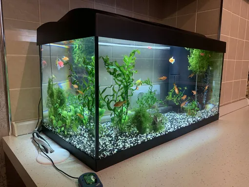 Аквариумы и фонтаны Аквариумы и фонтаны