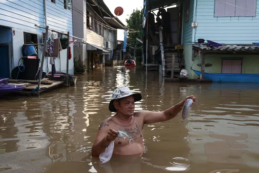 250 погибших: в Таиланде, Малайзии и Индонезии начались масштабные наводнения