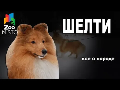 Нажми и смотри