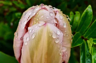 Стало известно, какая погода ждёт Москву в начале июня Стало известно, какая погода ждёт Москву в начале июня