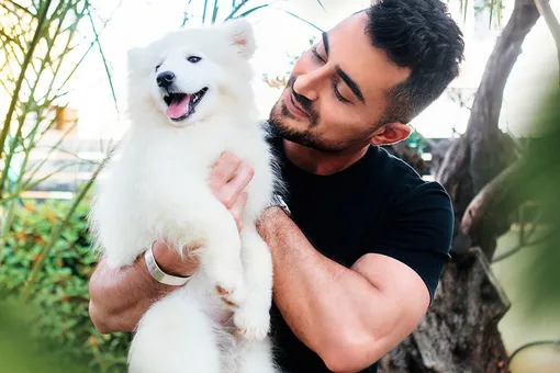 Не прекращал искать: хозяин воссоединился со своим псом после 5 лет разлуки Не прекращал искать: хозяин воссоединился со своим псом после 5 лет разлуки