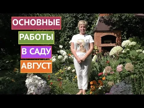 Нажми и смотри