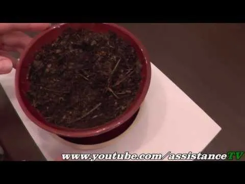 Нажми и смотри