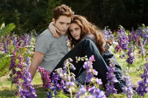 Создатели «Сумерек» намекнули на возвращение вампирской саги Создатели «Сумерек» намекнули на возвращение вампирской саги