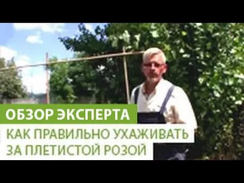 Нажми и смотри
