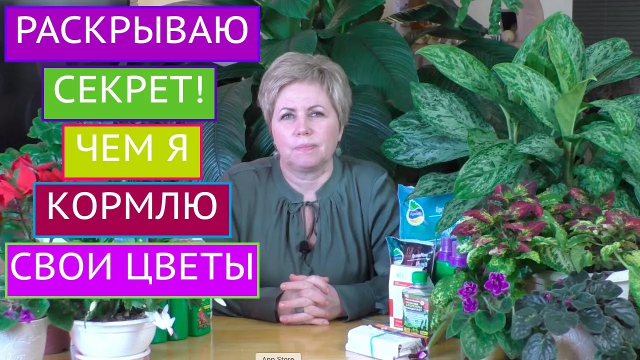 Нажми и смотри Нажми и смотри