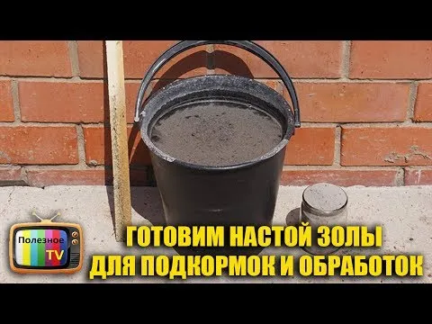 Нажми и смотри