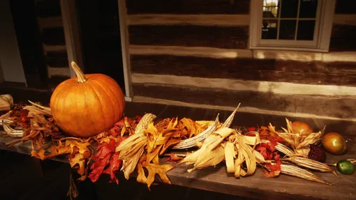 Лунный посевной календарь на неделю с 22 по 28 сентября 2025 года