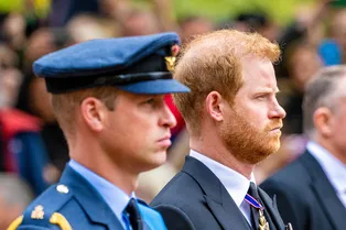 «Запасные органы для наследника»: принц Гарри о страшной роли, которая досталась ему в королевской семье «Запасные органы для наследника»: принц Гарри о страшной роли, которая досталась ему в королевской семье