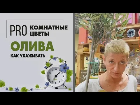 Нажми и смотри