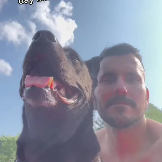 Нажми и смотри