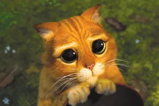 Очаровательные глазки! В Нидерландах живет точная копия котика из «Шрека»