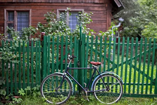 Опасная дача: с жалобами на укусы клещей обратились 10000 человек в Подмосковье Опасная дача: с жалобами на укусы клещей обратились 10000 человек в Подмосковье