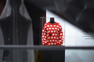 Поеденный молью свитер принцессы Дианы ушёл с молотка за 106 миллионов рублей