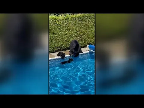 Нажми и смотри Нажми и смотри
