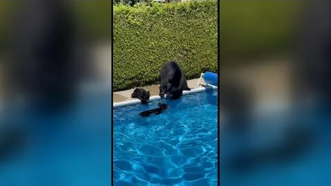 Нажми и смотри Нажми и смотри