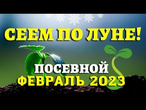 Нажми и смотри