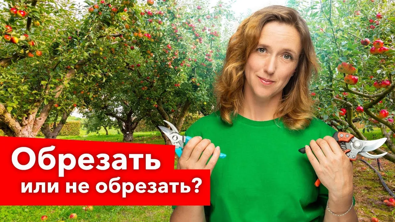 Нажми и смотри