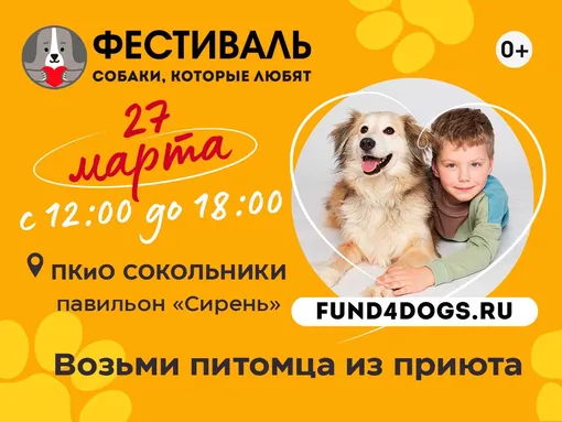 БФ «Собаки, которые любят» БФ «Собаки, которые любят»