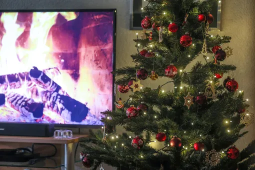 Недорогие искусственные елки из дешевого пластика дизайнер назвала главным новогодним антитрендом 2025/2026 года. Их главная проблема плохая фактура и редкие ветки.