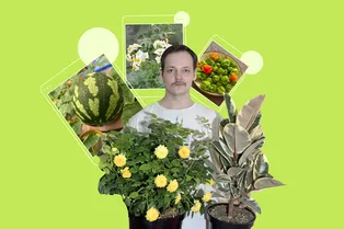 Как в обычной многоэтажке появился настоящий огород? История сити-фермера из Москвы