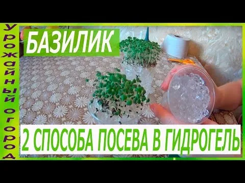 Нажми и смотри