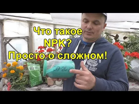 Нажми и смотри