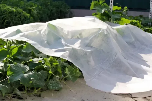 Спанбонд 30–40