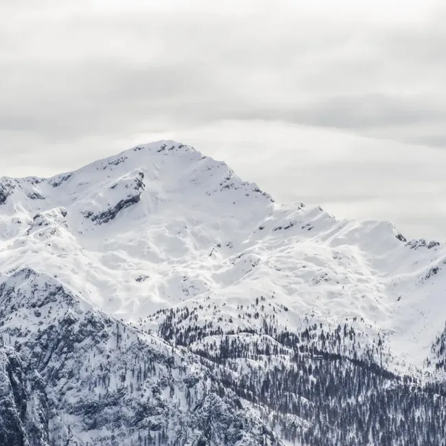 Группа альпинистов попала под лавину в Казахстане: есть погибший