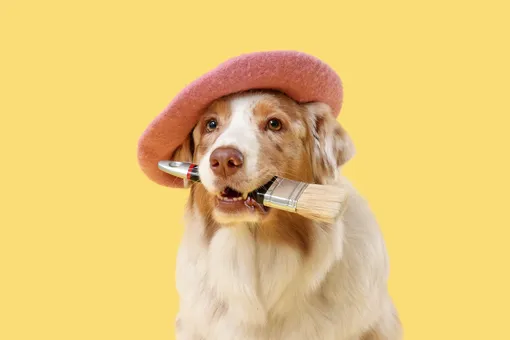 Собаки-художники: как питомцы создают абстрактные картины и пытаются ли они что-то сказать своим творчеством? Собаки-художники: как питомцы создают абстрактные картины и пытаются ли они что-то сказать своим творчеством?