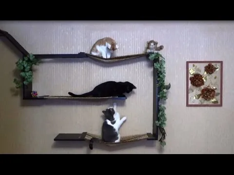 Нажми и смотри