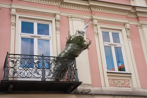 Что нужно добавлять в воду для новогодней ёлки