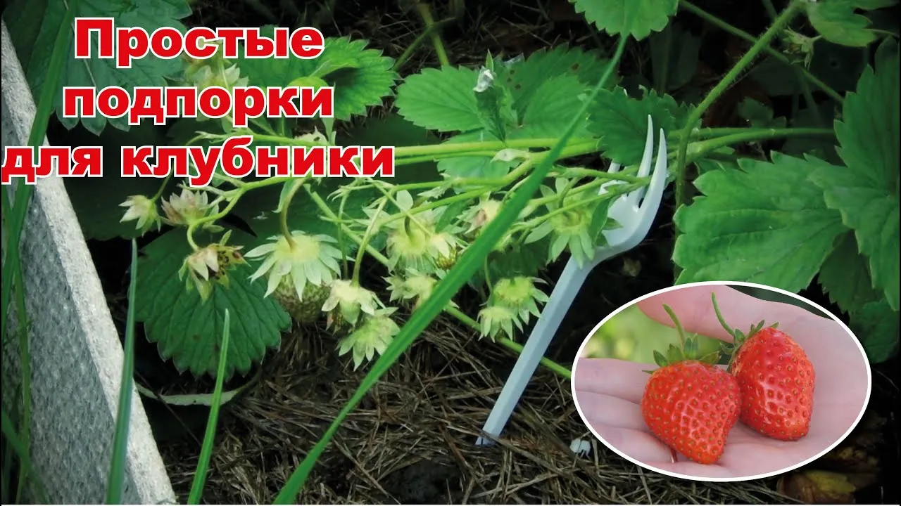 Нажми и смотри