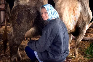 «Доярка из Хацапетовки»: ссора главных героев, история замены актеров и другие интересные подробности съемок