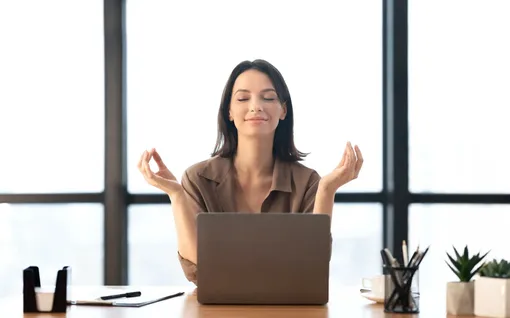 Близнецы — способность быстро адаптироваться Близнецы — способность быстро адаптироваться