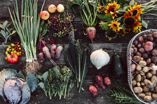 Как использовать лунный календарь для повышения урожайности: план работ на неделю с 6 по 12 октября 2025 года Как использовать лунный календарь для повышения урожайности: план работ на неделю с 6 по 12 октября 2025 года