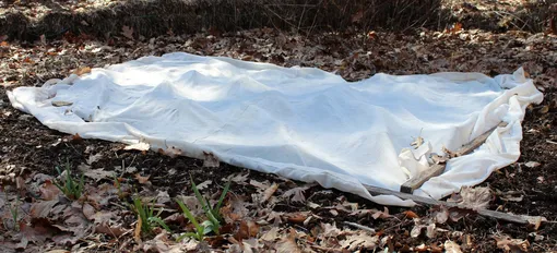 Подготовка земли под осеннюю посадку чеснока