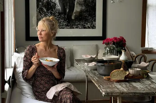 памела андерсон актриса фильмы памела андерсон актриса фильмы