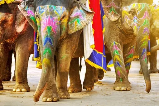 Как подготовиться к путешествию в Юго-Восточную Азию: 8 советов