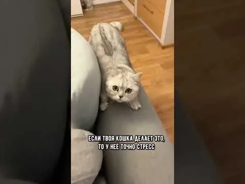 Нажми и смотри