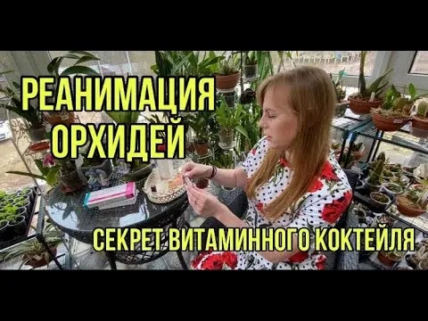 Нажми и смотри