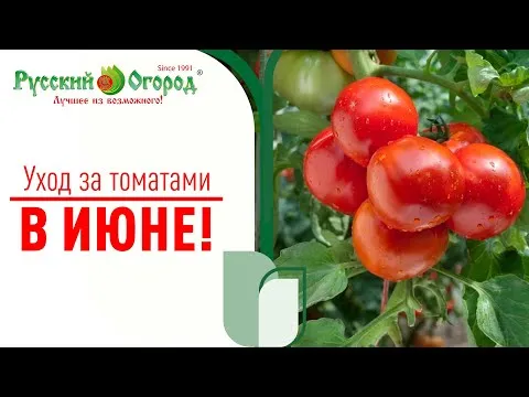 Нажми и смотри