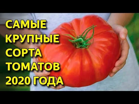 Нажми и смотри