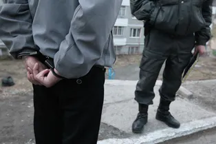 Сенатор Мизулина предложила кастрацию как метод лечения педофилии