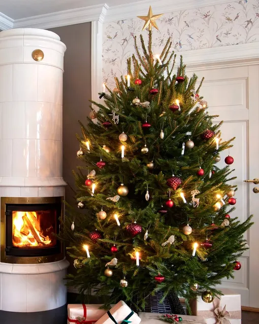 Красная с золотом елка — активирует энергию Огненной Лошади и принесет удачу в 2026 году. Красная с золотом елка — активирует энергию Огненной Лошади и принесет удачу в 2026 году.