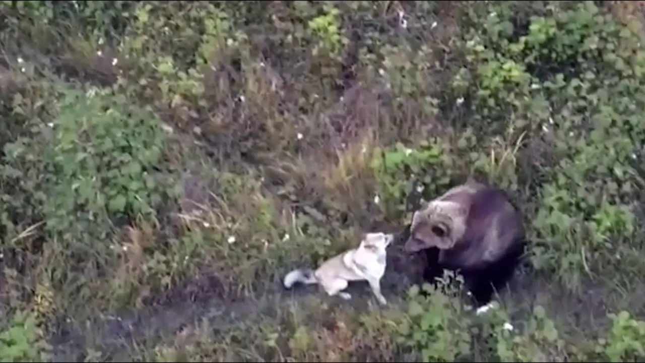 Нажми и смотри Нажми и смотри