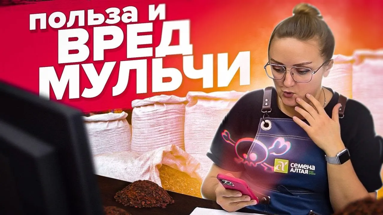 Нажми и смотри